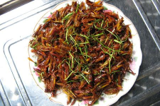 Châu chấu nướng